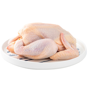 整只新鲜土鸡农家三黄鸡冷冻现杀童子鸡笨鸡整只包邮白条鸡生鸡肉