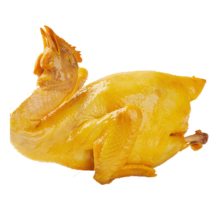 广东白切鸡整只真空包装熟食粤菜特色广式特产广州白斩鸡手撕鸡
