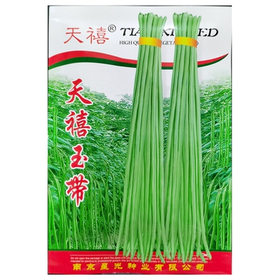 优质长豇豆种子江豆缸豆