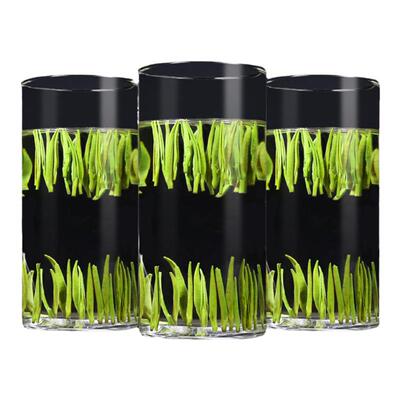 官方推荐2025新茶雀舌明前春茶毛尖竹叶绿茶剐油脂罐装茶叶