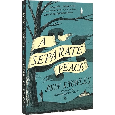 独自和解 英文原版青春小说 A Separate Peace 一个人的和平 全英文版进口英语书籍 另一种和平 电影原著 可搭麦田里的守望者正版