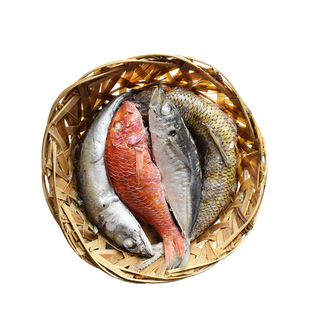 【鱼饭全家福】德裕隆潮汕鱼饭非遗老字号巴浪鱼饭新鲜海鲜即食