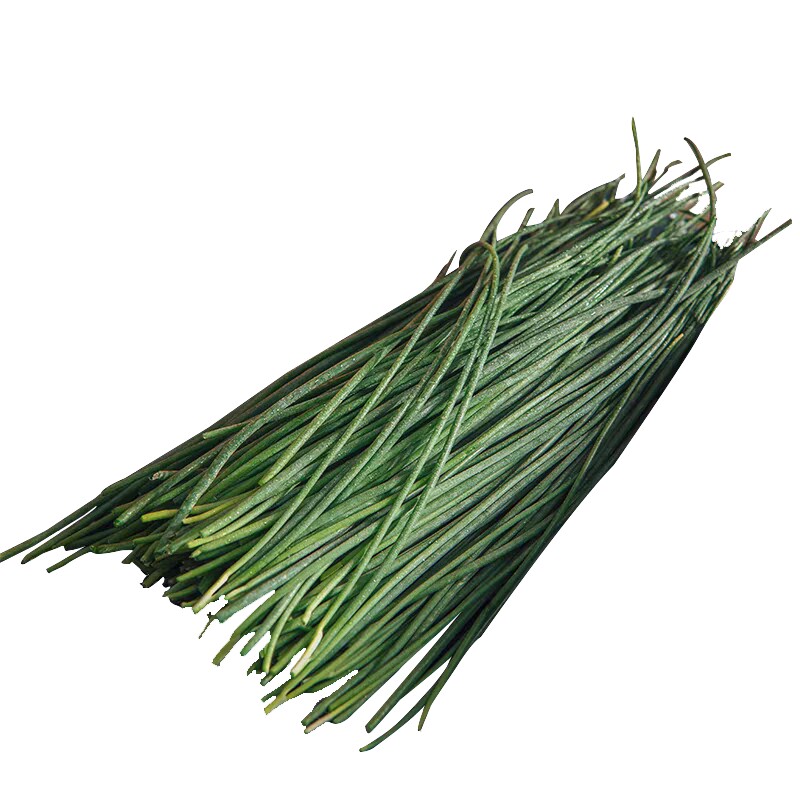 甘肃民勤沙葱新鲜现摘现发小葱香葱辛香脆爽新鲜蔬菜野葱头茬沙葱