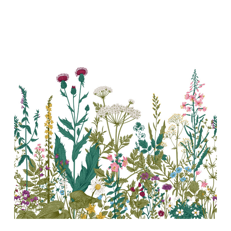 窗上植物画静电玻璃贴复古草本野花透光不透视厨房阳台氛围感窗膜