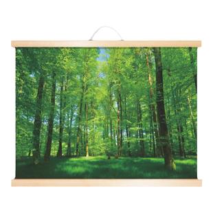 树木森林树林田园风景画玄关实木卷轴挂画儿童房间护眼图客厅装饰