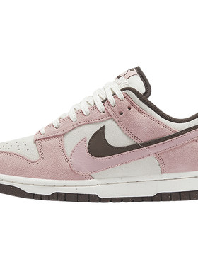 Nike/耐克正品Dunk Low SE女士双钩设计运动板鞋HV1799-161