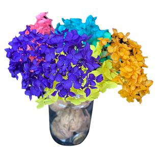 干花专用染料芦苇染色剂狗尾巴草染叶脉木材草编纸染色永生花染料