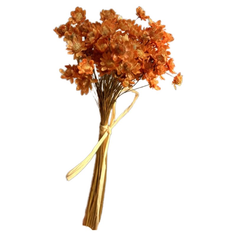 diy进口巴西手工滴胶材料干花