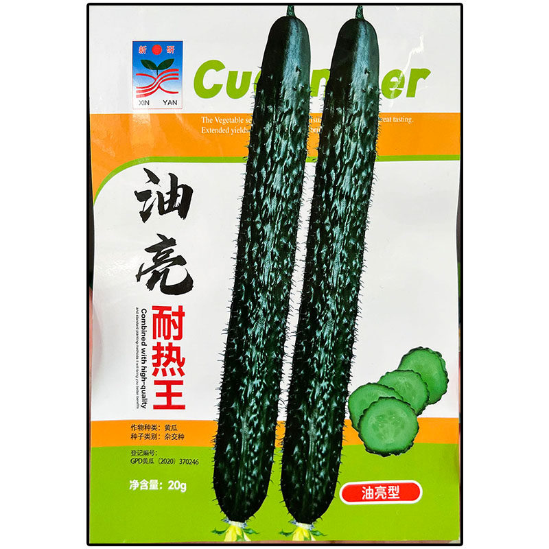 油亮耐热王黄瓜青黄瓜蔬菜种子
