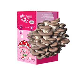 时光小菇蘑菇种植礼盒平菇菌包栽培阳台家种食用袋装盒子蘑盒礼物