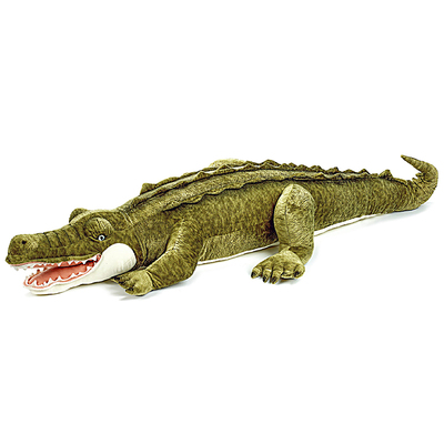 国家地理正品，假一罚十