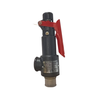 燕峰安全阀A27W-10/16T空压机弹簧式储气罐锅炉专用泄压阀dn15 20