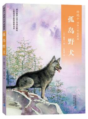 当当网 2023百班千人三年级暑期书目推荐阅读 遥远的信号外婆变成了麻猫了不起的灰灰孤岛野犬大盗奶奶的完美冒险感动星