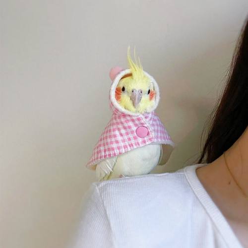 冬季鹦鹉外出服多巴胺披风牡丹玄凤小太阳保暖斗篷小宠专用衣服