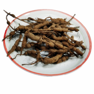 新鲜鸡筋参中药材 黄鸡胖黄鸡郎黄脚鸡长叶数珠根贵州中草药500克