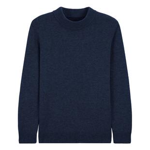 Mind Bridge【山羊绒】男士半高领羊毛衫2025年冬简约纯色毛衣