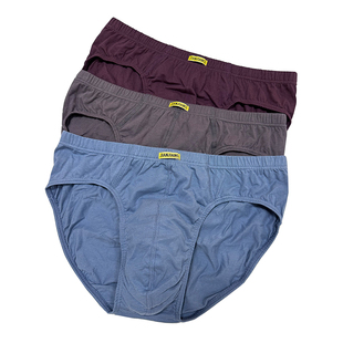 健将纯棉盒装4条装男士内裤纯棉三角裤中腰全棉裤头100%棉短底裤