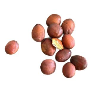 正宗野生国产酸枣仁中药材代炒熟磨酸枣仁粉500g官方旗舰店