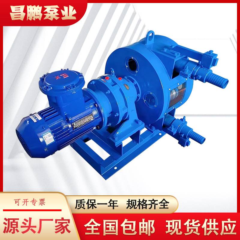 RGB50挤压软管泵发泡水泥悬浮液辣椒酱电动输送泵蠕动泵大流量