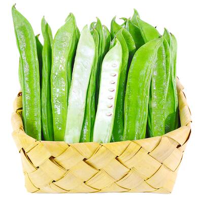 刀豆新鲜广西现摘嫩大巴豆蔬菜