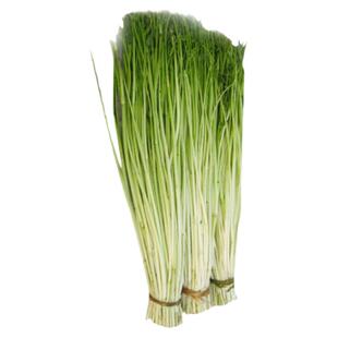 去叶水芹菜新鲜蔬菜时令净菜当季食用野芹菜江苏水芹河芹叶芹