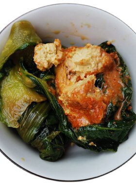重庆石柱特产白菜乳坛装臭豆腐乳