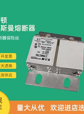 议价全新快速熔断器保险170M1735 170M1736 170M1737 170M1738