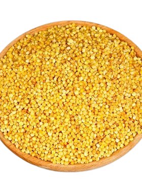 内蒙古炒米500g新货现炒颗粒饱满即食泡奶茶拌酸奶炒米