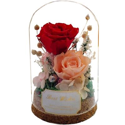 永生康乃馨玫瑰蒲公英真花摆件