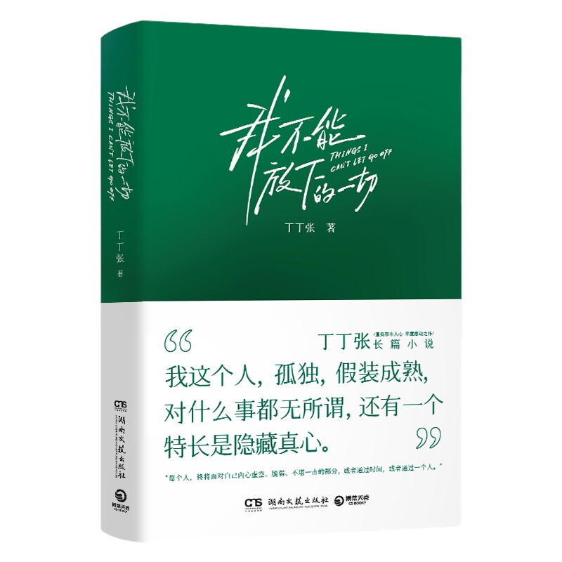 我不能放下的一切丁丁张