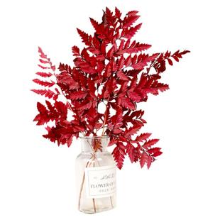 高山羊齿蕨叶干花永生花铁线蕨类植物标本配草微景观插花DIY材料