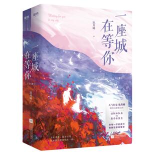 一座城，在等你 全2册 人气作者玖月晞现实向甜蜜力作 执此一念，一念十年。原来我只想和你在一起 言情小说 磨铁 安徽新华书店