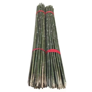 竹竿菜园搭架蔬菜黄瓜番茄豆角架杆竹篱笆栅栏小竹子细竹竿葡萄架
