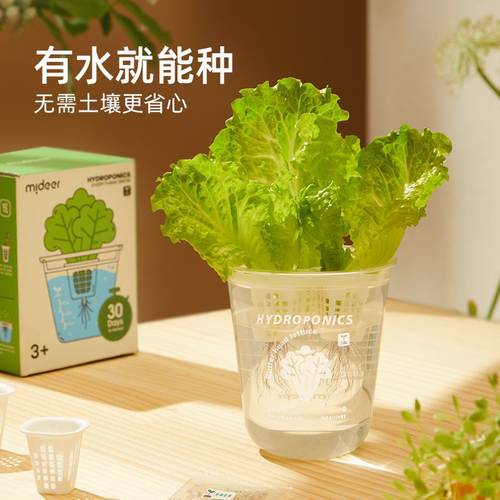 mideer弥鹿水培阳光小种植盒科学儿童玩具生长套装观察实验房植物