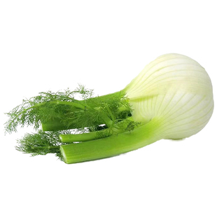 新鲜茴香头500g香料菜西餐配料调料球茎茴香菜蔬菜现挖料理食材