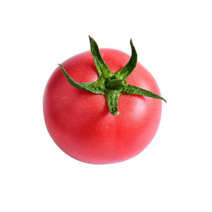 西红柿新鲜自然熟水果番茄生吃老味道蜂果家的粉柿熊蜂授粉无激素