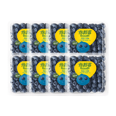 云南蓝莓小果新鲜尝鲜脆甜爆汁