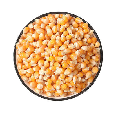 爆米花专用玉米粒2斤电影院蝶形