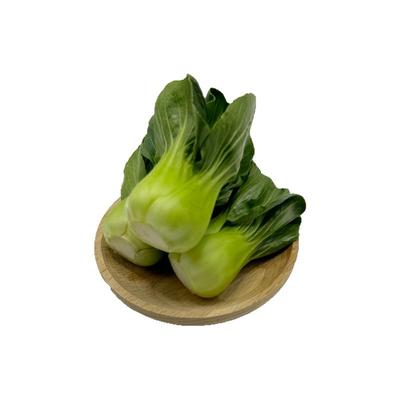 宁夏青菜新鲜蔬菜上海青供港小青仔软糯清甜小青菜小油菜矮脚青菜