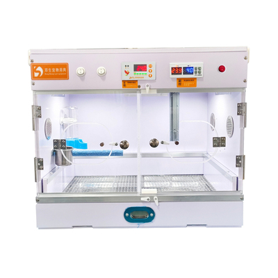 邓生鹦鹉保温箱风暖加热自动恒温