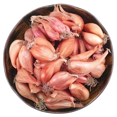 正宗本地特大香葱头红葱头