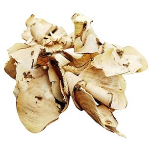 贵州深山野花椒根花椒树根狗屎椒根野花椒中药材山花椒根新鲜现挖