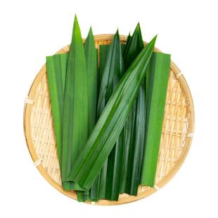 斑斓叶新鲜食用海南香兰叶班兰叶烘焙商用蛋糕千层食材蔬菜500g