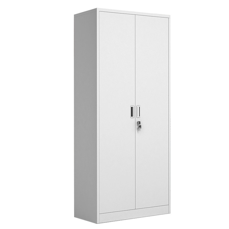 钢制办公室通门文件柜铁皮柜带锁书柜资料会计凭证档案柜储物柜子