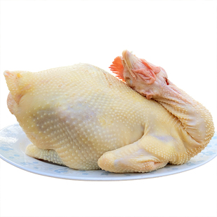 正宗土鸡农家放养跑山鸡老母鸡新鲜现杀走地鸡柴鸡小母鸡孕妇月子