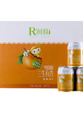 红杏古郡巨鹿果蔬汁润浪酸甜果汁