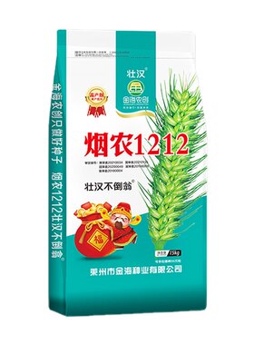 冬性麦烟农1212抗冻矮杆高产小麦
