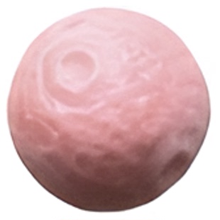 天然原矿七宝粉贝贝壳单颗散珠diy星球陨石百香籽8mm顶珠腰珠配件