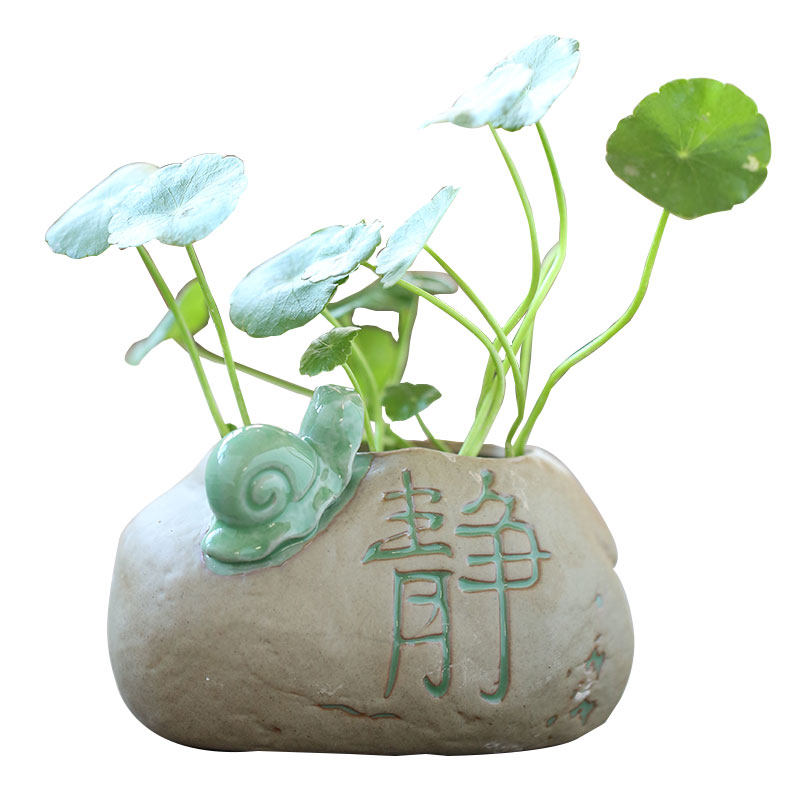 水培器皿碗莲专用盆铜钱草一叶莲睡莲盆缸水仙花盆陶瓷大号家用