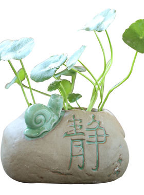 水培器皿铜钱草碗莲专用盆
